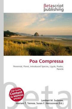 Poa Compressa