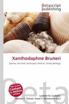 Cover Xanthodaphne Bruneri
