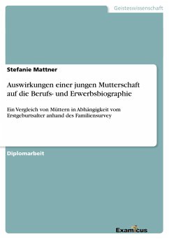 Auswirkungen einer jungen Mutterschaft auf die Berufs- und Erwerbsbiographie - Mattner, Stefanie