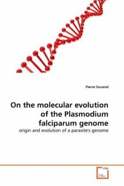 On the molecular evolution of the Plasmodium falciparum genome