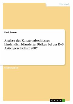 Analyse des Konzernabschlusses hinsichtlich bilanzierter Risiken bei der K+S Aktiengesellschaft 2007 - Ramm, Paul