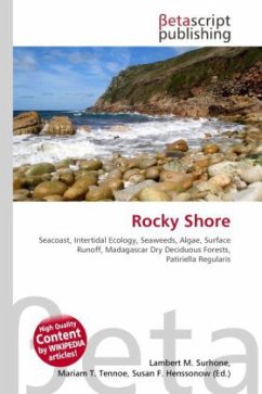 Rocky Shore