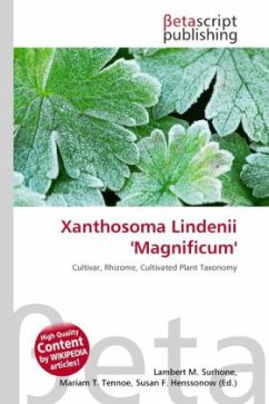 Xanthosoma Lindenii 'Magnificum'