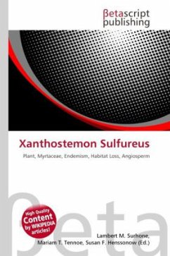 Xanthostemon Sulfureus