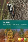 Im Wald