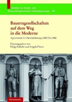 Bauerngesellschaften auf dem Weg in die Moderne