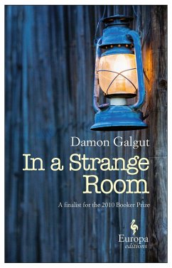 In a Strange Room - Galgut, Damon