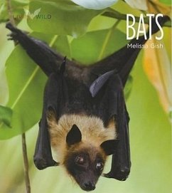 Living Wild: Bats - Gish, Melissa