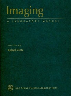 Imaging in Neuroscience