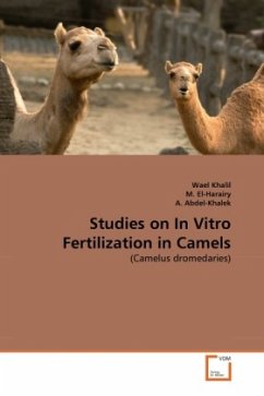 Studies on In Vitro Fertilization in Camels