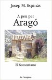 A peu per Aragó : el Somontano