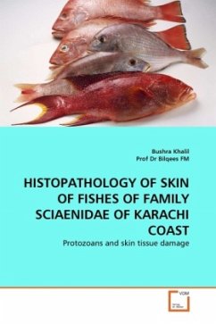HISTOPATHOLOGY OF SKIN OF FISHES OF FAMILY SCIAENIDAE OF KARACHI COAST - Khalil, Bushra;Bilqees