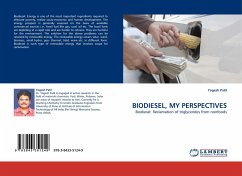 BIODIESEL, MY PERSPECTIVES - Patil, Yogesh