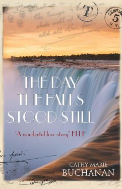 Cover The Day the Falls Stood Still