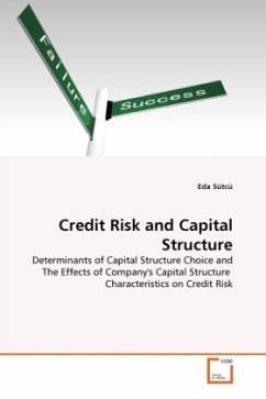 Credit Risk and Capital Structure - Sütcü, Eda