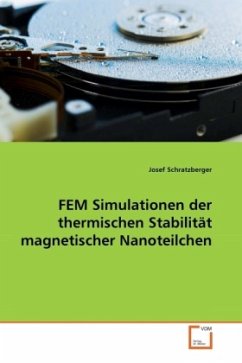 FEM Simulationen der thermischen Stabilität magnetischer Nanoteilchen