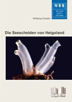Cover Die Seescheiden von Helgoland
