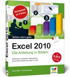 Excel 2010 - Sprung, Ulrike;Bilke, Petra