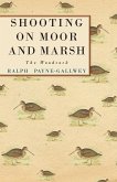 Shooting on Moor and Marsh - The Woodcock