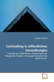 Controlling in öffentlichen Verwaltungen