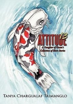 Attitude 13