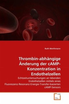 Thrombin-abhängige Änderung der cAMP-Konzentration in Endothelzellen - Werthmann, Ruth