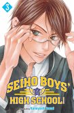 Seiho Boys' High School!, Vol. 3