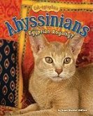 Abyssinians: Egyptian Royalty?