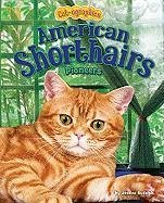 American Shorthairs: Pioneers - Rudolph, Jessica