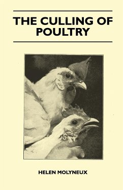 The Culling Of Poultry - Molyneux, Helen