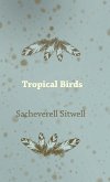 Tropical Birds
