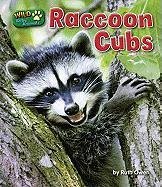Raccoon Cubs - Owen, Ruth