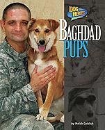 Baghdad Pups - Goldish, Meish