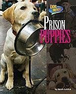 Prison Puppies - Goldish, Meish