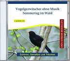 Vogelgezwitscher Ohne Musik-Sommertag Im Wald