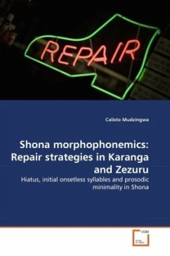 Shona morphophonemics: Repair strategies in Karanga and Zezuru - Mudzingwa, Calisto