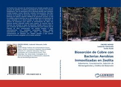 Biosorción de Cobre con Bacterias Aerobias Inmovilizadas en Zeolita - Monge, Onofre;Valenzuela, Leobardo;Acedo, Evelia