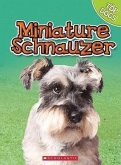 Miniature Schnauzer