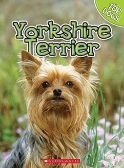 Yorkshire Terrier - George, Charles; George, Linda