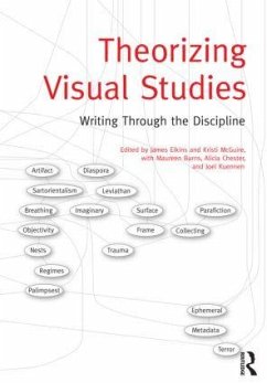 Theorizing Visual Studies