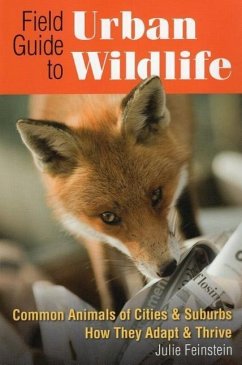 Field Guide to Urban Wildlife - Feinstein, Julie