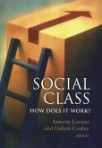 Social Class: How Does It Work?