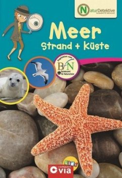Meer, Strand + Küste - Kuhn, Birgit