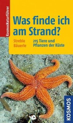 Was finde ich am Strand? - Streble, Heinz; Bäuerle, Annegret