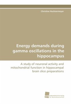 Cover Energy demands during gamma oscillations in the hippocampus