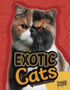 Exotic Cats - Mattern, Joanne