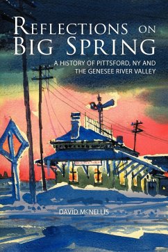 Reflections on Big Spring - McNellis, David