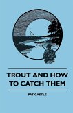 Trout And How To Catch Them