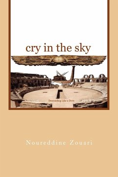 Cry in the Sky - Zouari, Noureddine