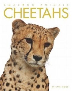 Cheetahs - Riggs, Kate